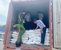 Bình Định Tạm giữ 600 bao đường các loại không rõ nguồn gốc