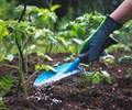 Phân bón chịu thuế giá trị gia tăng 5 Lợi hay hại