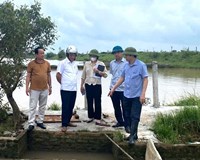 Hải Dương Hệ thống đê điều vẫn cơ bản ổn định an toàn