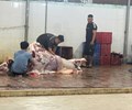 Đồng Nai Xử lý 2 cơ sở giết mổ heo bò do vi phạm vệ sinh an toàn thực phẩm