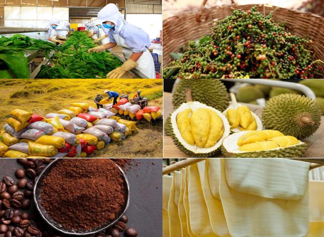 Giá nông sản hôm nay 6/6: Hồ tiêu bật tăng, cà phê giảm sâu, gạo xuất khẩu khởi sắc