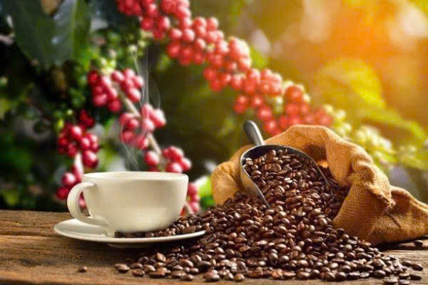 Giá cà phê tăng trở lại, mốc 90.000 đồng/kg còn xa hay đã ở rất gần?