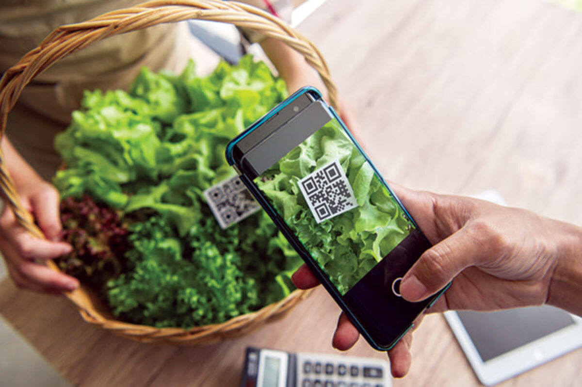 Xuất siêu hơn 7 tỷ USD, ngành nông nghiệp chuẩn bị kịch bản ứng phó biến động thương mại toàn cầu