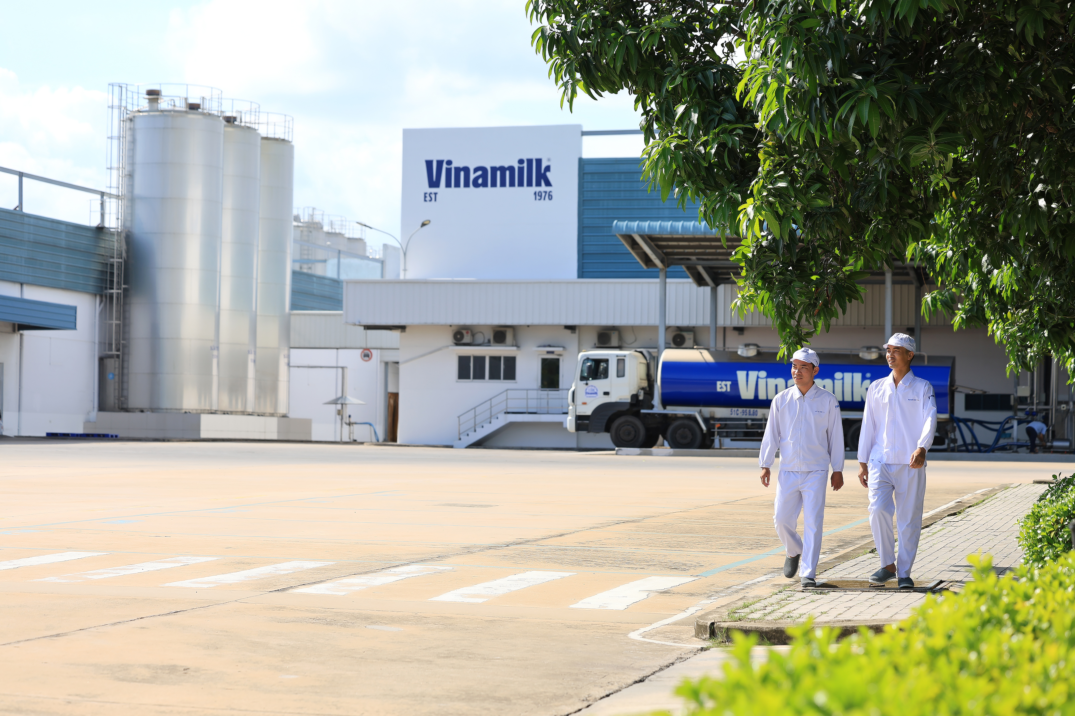 3 năm liền góp mặt trong Fortune Sea 500: Vinamilk khẳng định vị thế thương hiệu sữa Việt