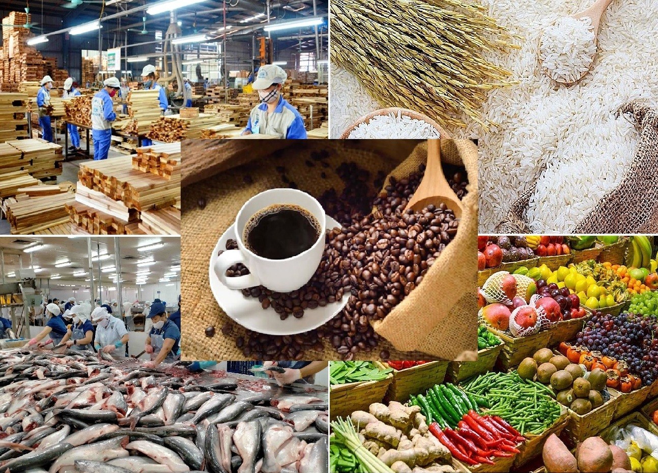 Giá nông sản hôm nay 21/6: Tiêu mất mốc 140.000 đồng/kg, cà phê chạm đỉnh nhiều tháng