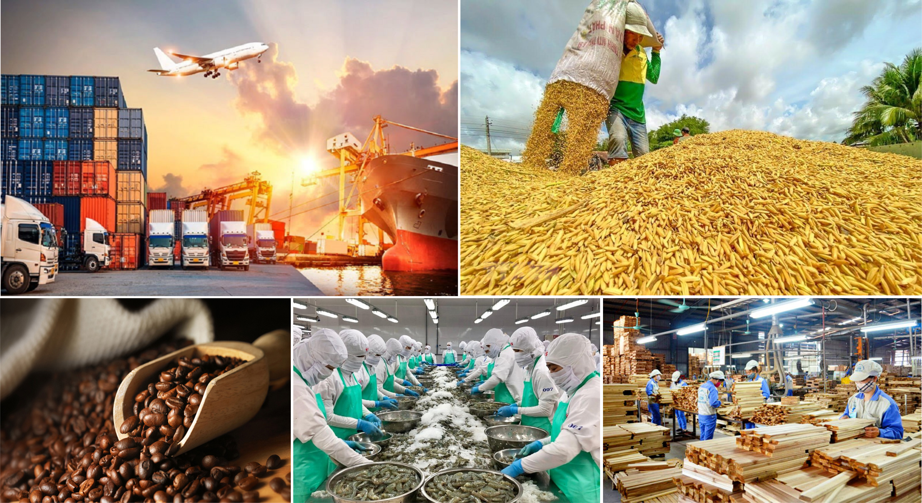 Thị trường nông sản nửa đầu năm 2026 ổn định nhờ nguồn cung dồi dào