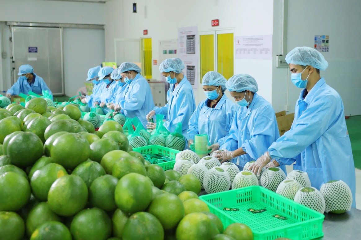 Xuất khẩu thực phẩm sang Trung Quốc: Doanh nghiệp Việt cần thích ứng với quy định mới
