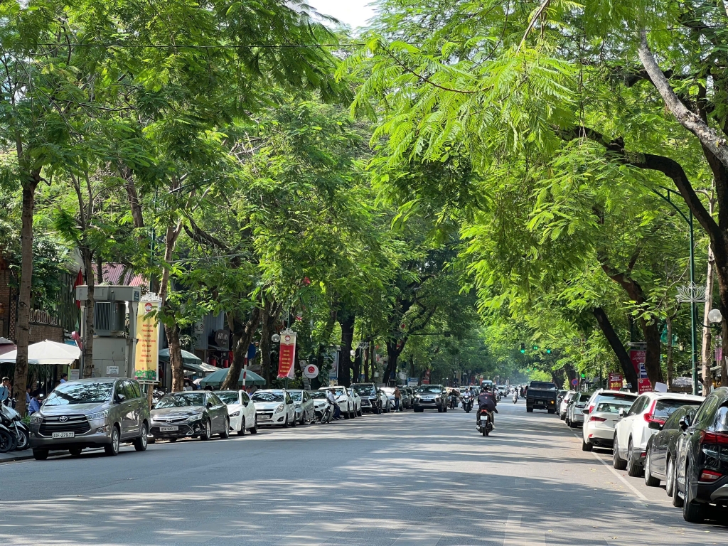 Dự báo thời tiết đêm nay và ngày mai  6/7: Hà Nội và các khu vực trên cả nước