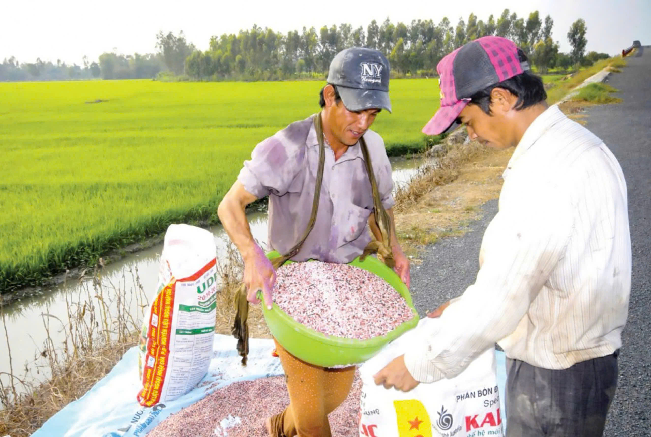 Xuất khẩu phân bón 6 tháng đầu năm đạt gần 1 tỷ USD, tăng hơn gấp đôi về giá trị