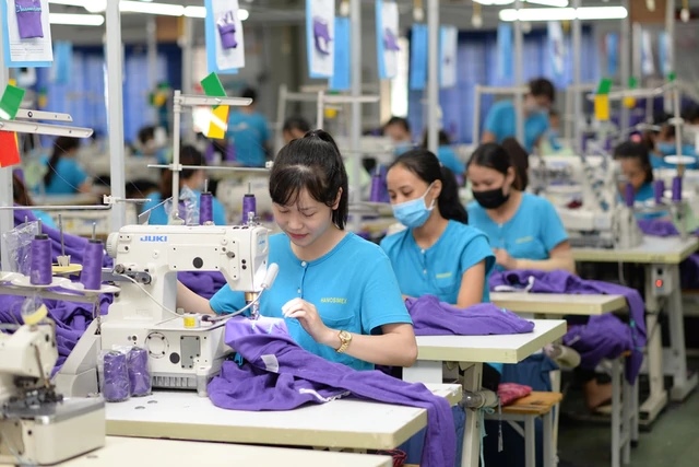 Tổng CTCP Dệt may Hà Nội (HSM) bị truy thu thuế, buộc điều chỉnh giảm gần 34,8 tỷ đồng số lỗ