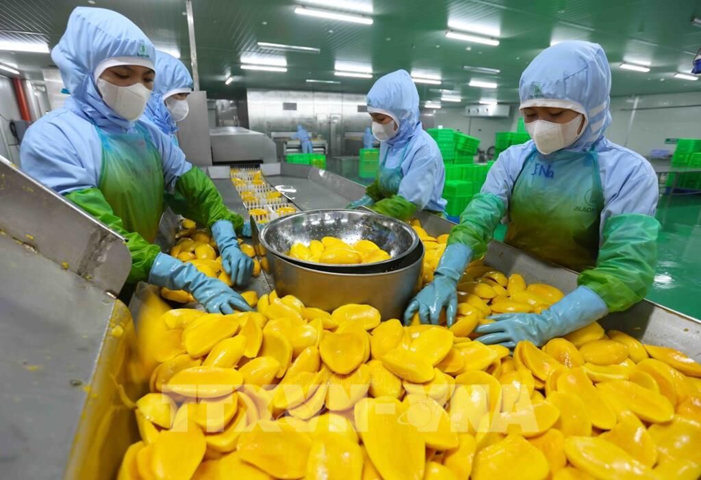 Xuất khẩu nông sản và thực phẩm chế biến: Hóa giải “điểm nghẽn” để tạo bứt phá 