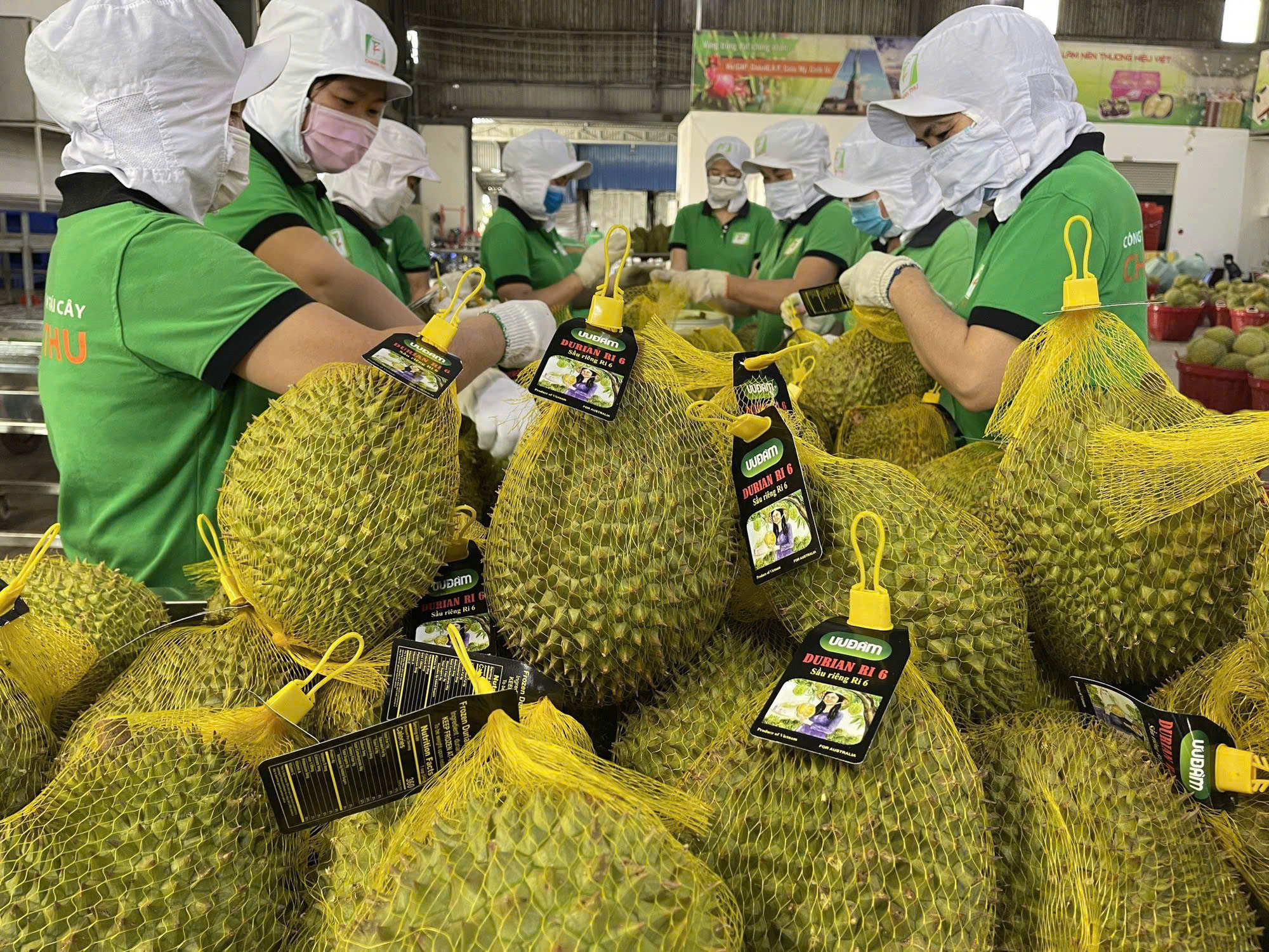 Cục Hải quan yêu cầu ưu tiên thông quan nông sản xuất khẩu trong ngày
