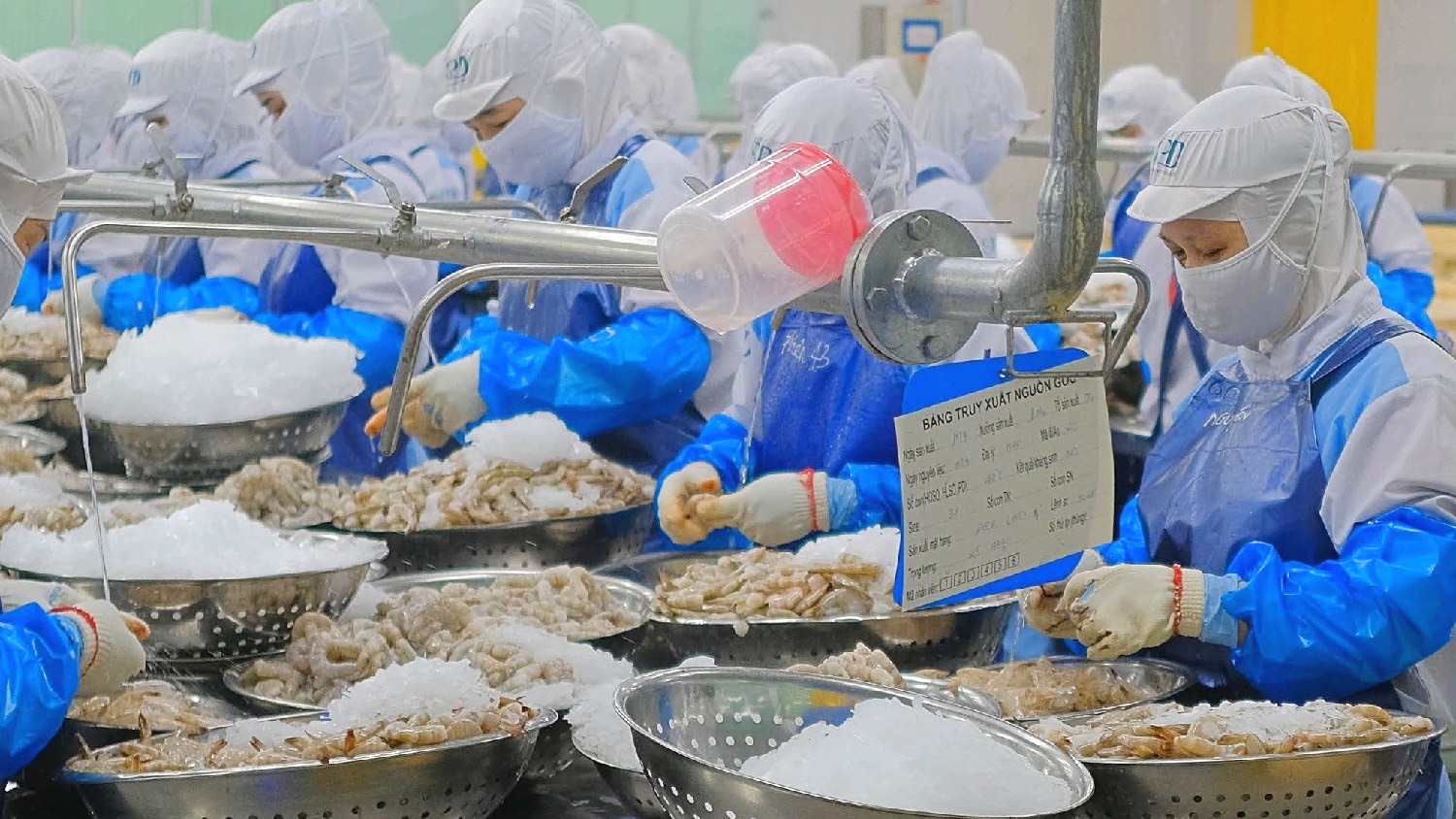 Xuất khẩu tôm tăng mạnh nhưng vẫn đối mặt nhiều thách thức